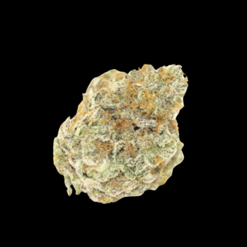 Permanent White Marker Feminized cannabis flower bud by Growers Choice