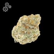 Permanent White Marker Autoflowering cannabis flower bud by Growers Choice