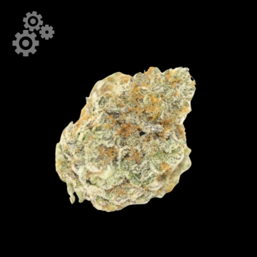 Permanent White Marker Autoflowering cannabis flower bud by Growers Choice