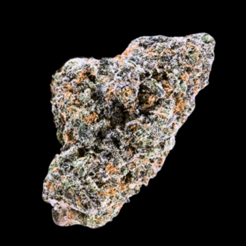 Blue Nerdz Auto Autoflowering cannabis flower bud by Terp Farmz Seeds