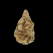 Charlotte's Dream CBD Feminized cannabis flower bud by Growers Choice