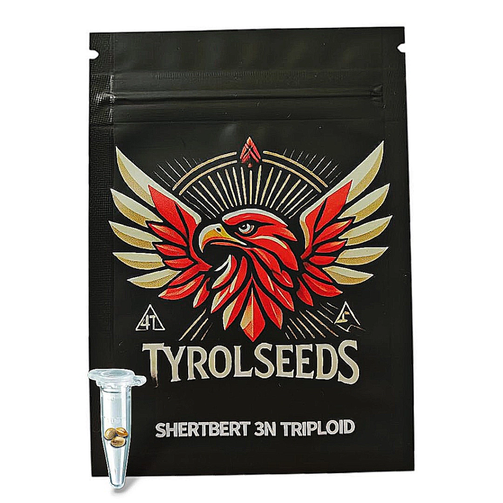Sherbert 3n – Tyrol Seeds – Triploid – Product view 2
