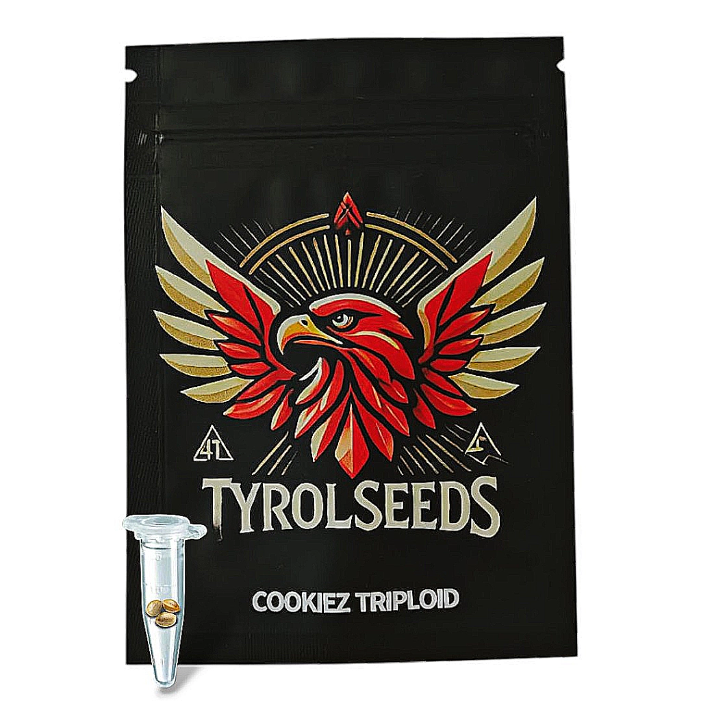 COOKIEZ – Tyrol Seeds – Triploid – Product view 2