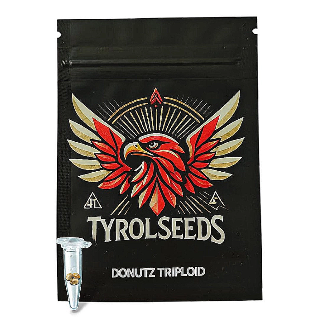 Donutz Triploid – Tyrol Seeds – Triploid – Product view 2
