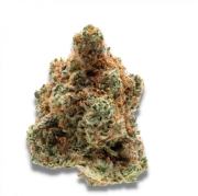 Blueberry Twist Feminized cannabis flower bud by Advanced Genetics Seeds
