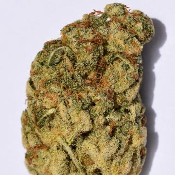 WEDDING CAKE Feminized cannabis flower bud by Bighead Seeds