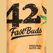 Original Auto AK Autoflowering cannabis flower bud by FastBuds Seeds
