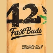 Original Auto Amnesia Haze Autoflowering cannabis flower bud by FastBuds Seeds