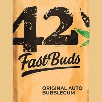 Original Auto BubbleGum Autoflowering cannabis flower bud by FastBuds Seeds