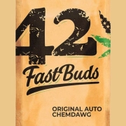 Original Auto Chemdawg Autoflowering cannabis flower bud by FastBuds Seeds