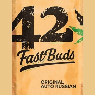 Original Auto Russian Autoflowering cannabis flower bud by FastBuds Seeds