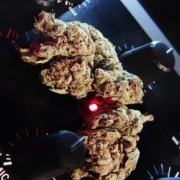 Easy Kush Feminized cannabis flower bud by Feminised Seeds