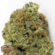 Wipeout Express Auto Autoflowering cannabis flower bud by Heavyweight Seeds