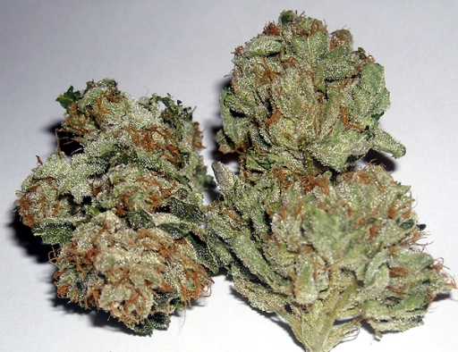 Rug Burn OG – Rare Dankness – Regular