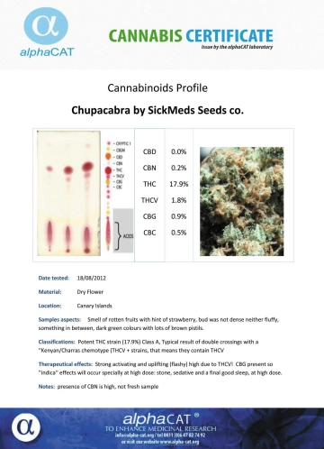 Chupacabra Regular cannabis flower bud by SickMeds Seeds