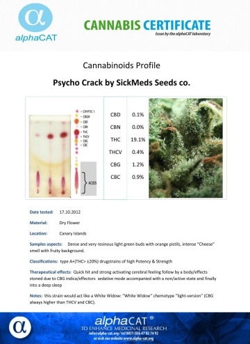 Psycho Crack Feminized cannabis flower bud by SickMeds Seeds