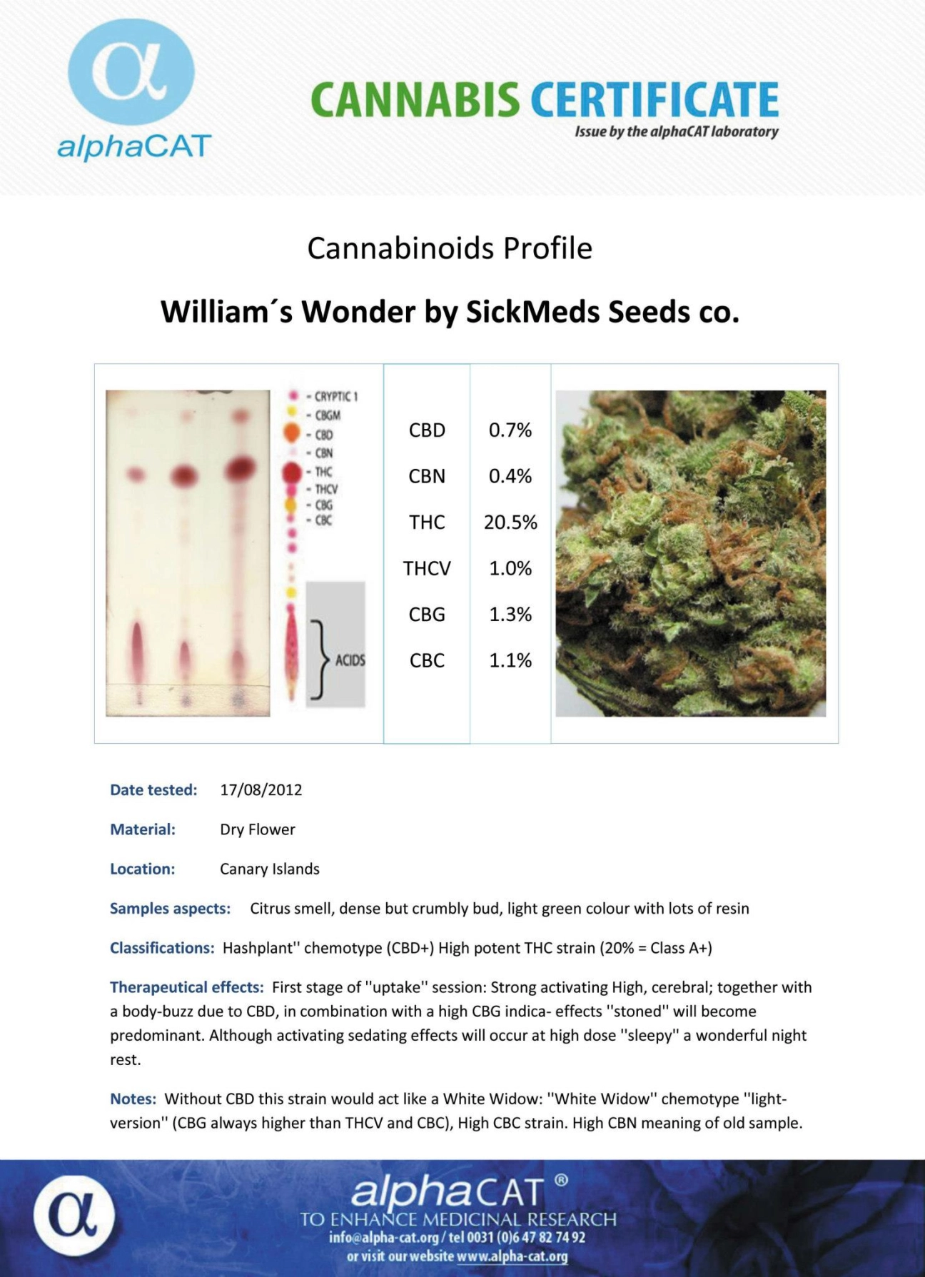 William's Wonder – SickMeds Seeds – Regular