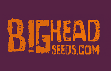 Bighead Seeds
