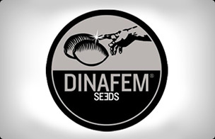 DinaFem Seeds