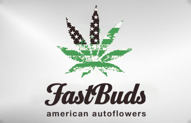 FastBuds Seeds