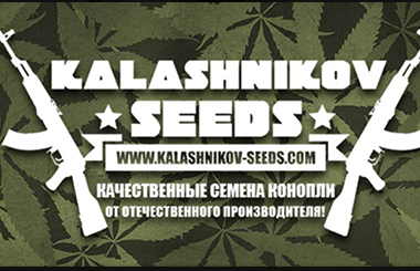 Kalashnikov Seeds
