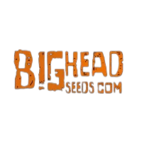 Bighead Seeds logo