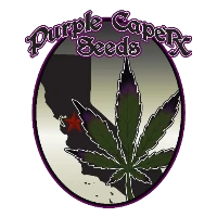 Purple Caper Seeds seedbank logo