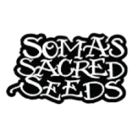 Soma Seeds logo